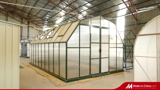 Sistema hidropónico agrícola Material de construcción de aluminio y policarbonato Invernaderos Casa verde Rdgs0810-6mm