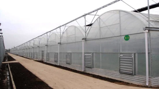 Invernadero de película plástica de varios tramos de venta caliente para plantar