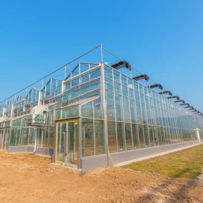 Invernadero de Vidrio/Multi-Span con Sistema de Riego Hidropónico para Fresa/Verduras/Flores/Tomate/Pimiento